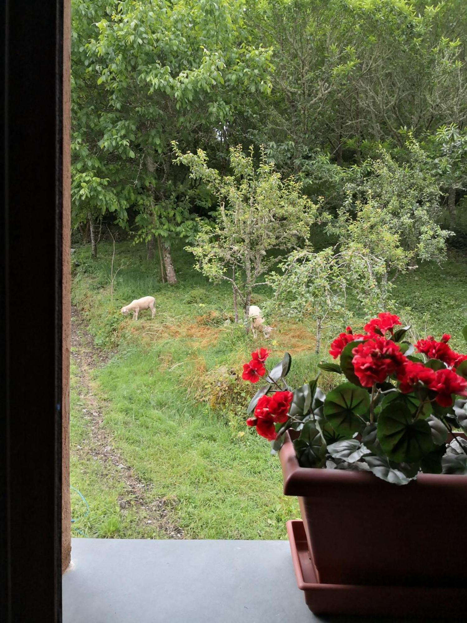Penzion La Pandela Las Herrerías Pokoj fotografie